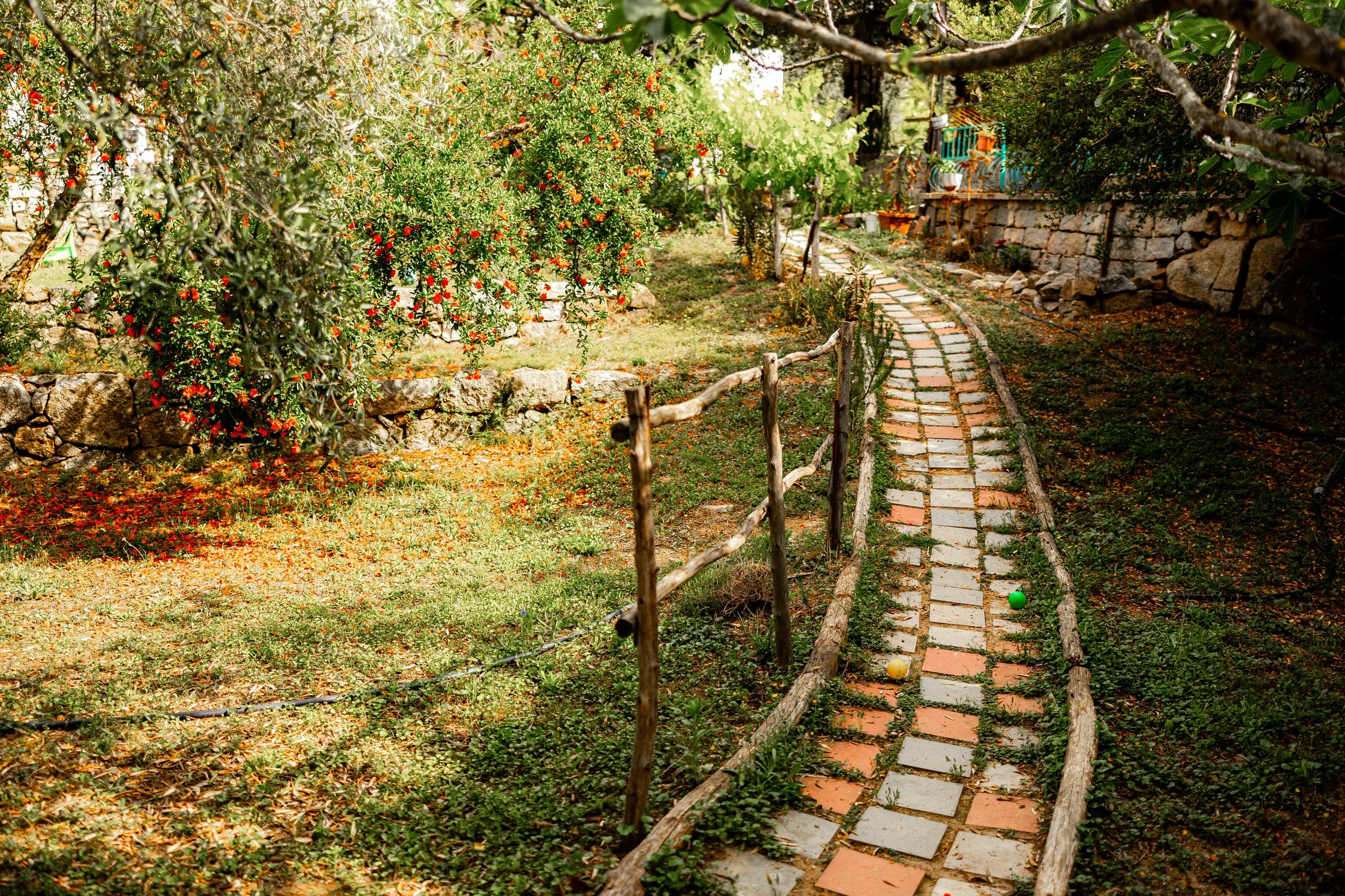A winding brick path between flowering trees and a stone wall