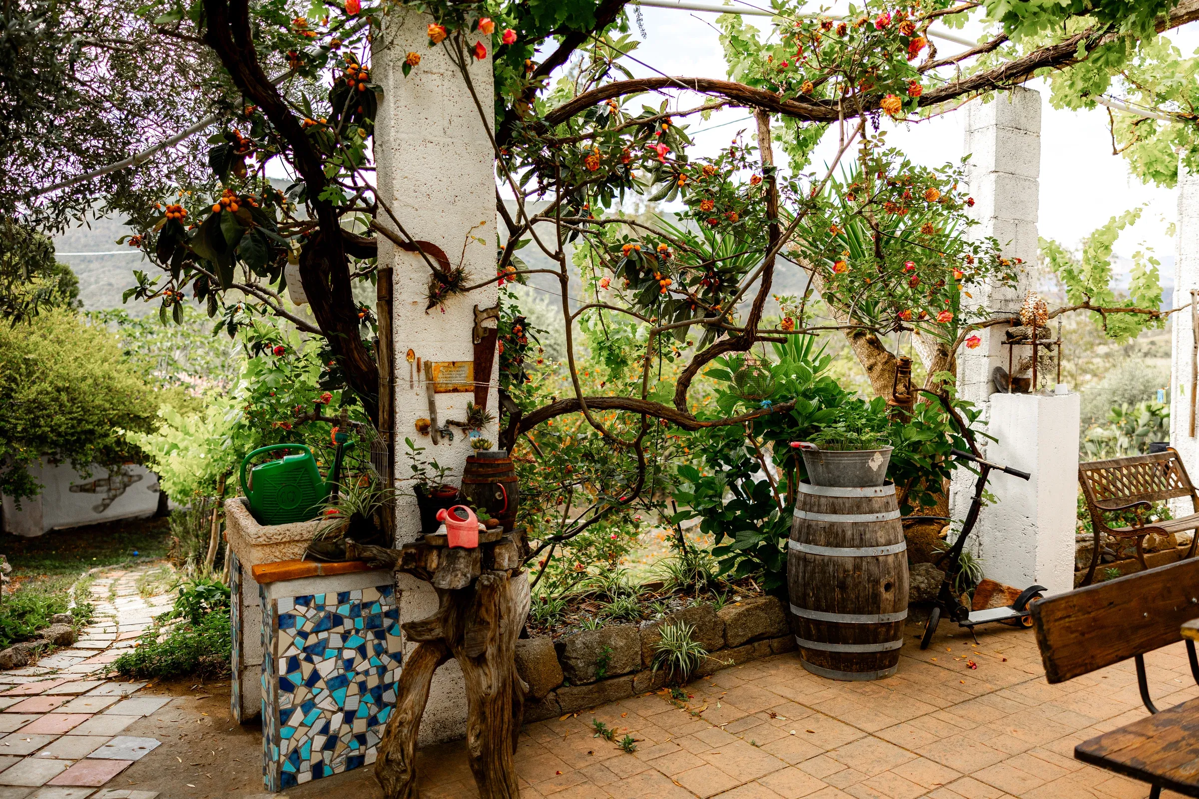 Alberi, piante e dettagli artigianali nel cortile